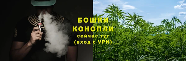 прущие крисы Белоозёрский