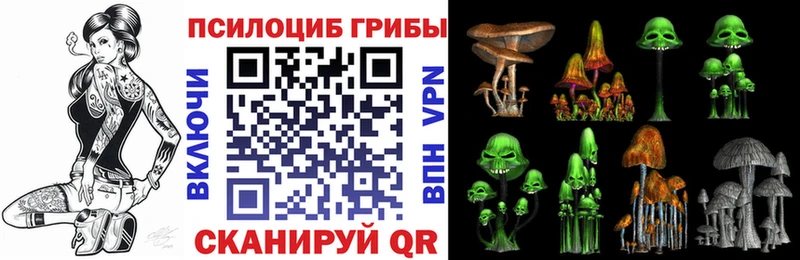 Псилоцибиновые грибы мицелий  где купить наркотик  ОМГ ОМГ маркетплейс  мориарти какой сайт  Сертолово 